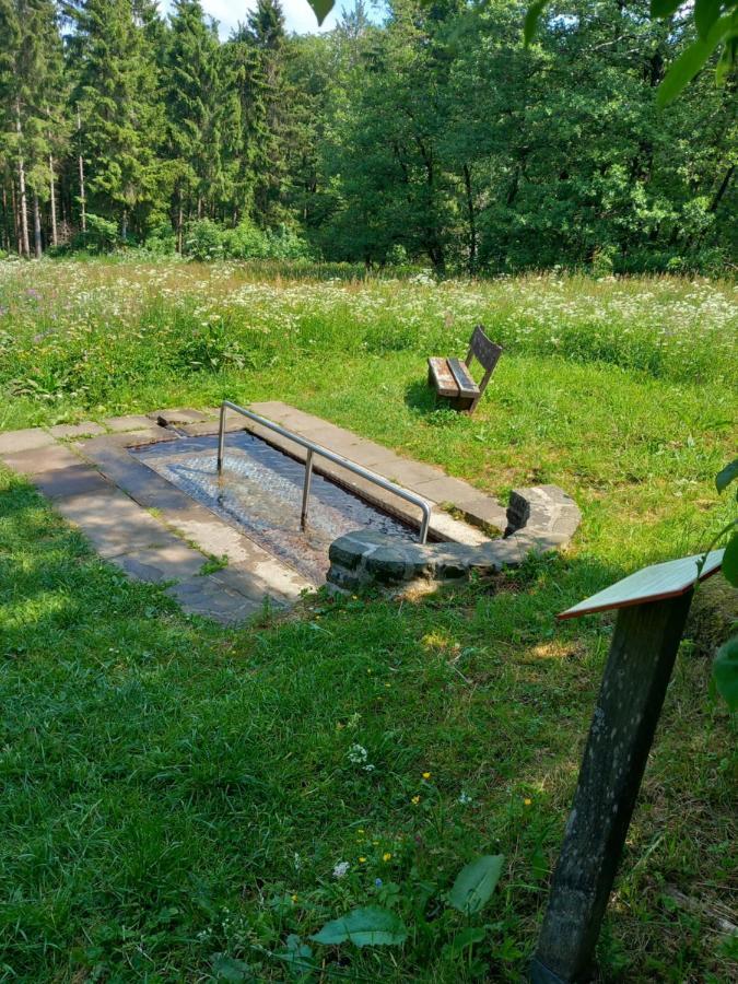 Vila Vogelsberger Zirbenstueberl Grebenhain Exteriér fotografie